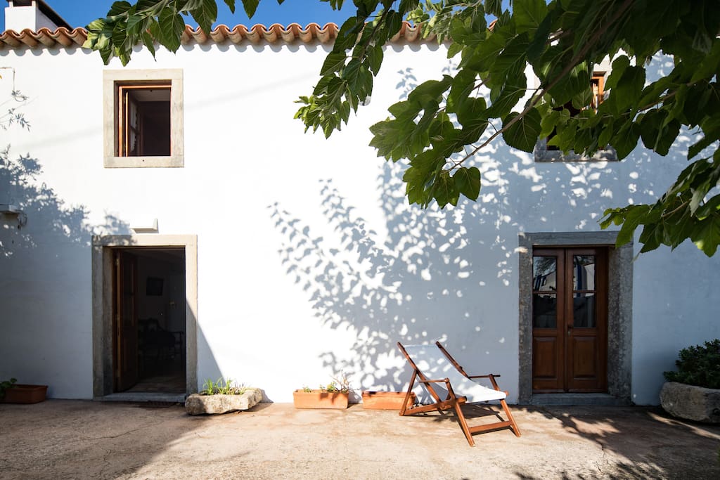 South Patio