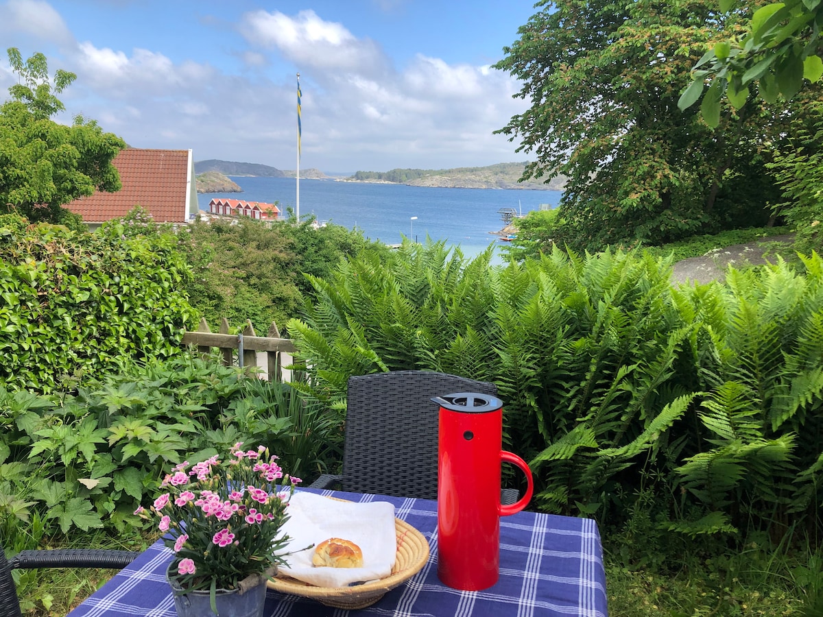 A charming terrace features a table set with a red coffee pot, a pastry, and a small flower arrangement. Lush green ferns surround the area, while a view of the sea and distant coastline is visible in the background under a partly cloudy sky.