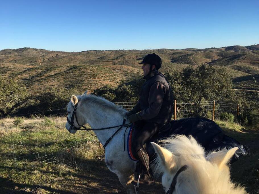 Chevaux et balade