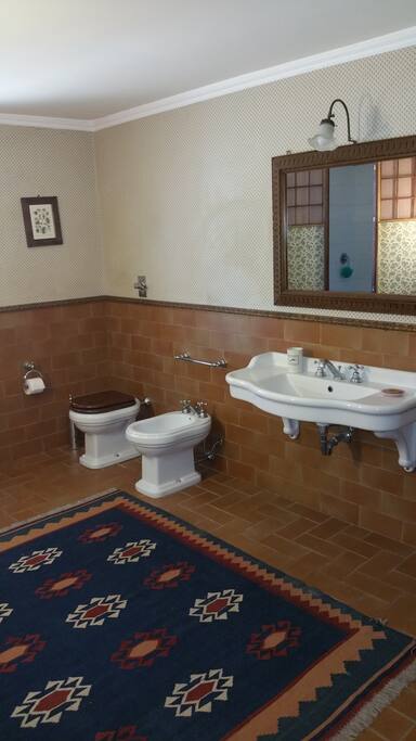 IL BAGNO HA LE DIMENSIONI DI UNA CAMERA CON UNA GRANDE DOCCIA,FUORI CAMERA,MA AD USO ESCLUSIVO.