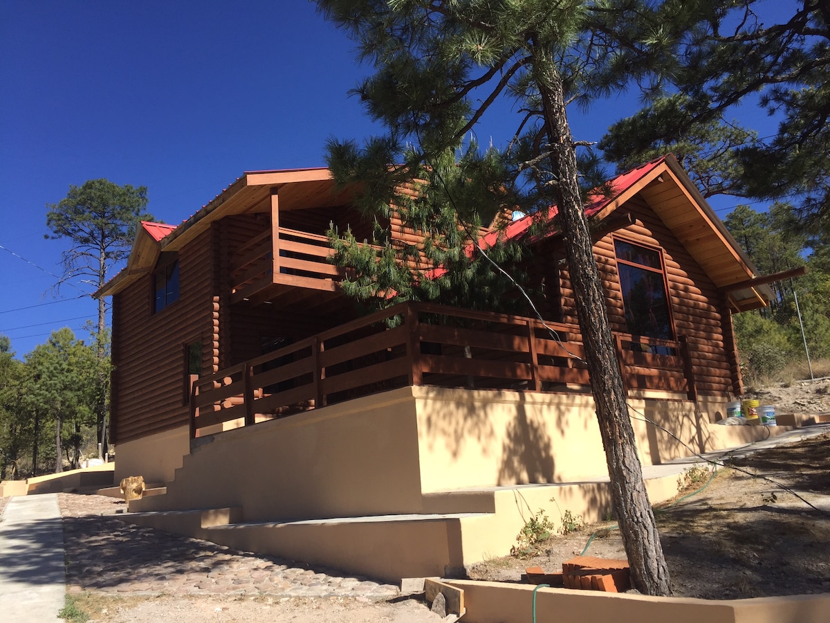 A log cabin is presented with a red roof and wooden exterior, surrounded by tall pine trees. The spacious deck features wooden railings, providing a view of the forested landscape. Natural light bathes the structure, highlighting its welcoming entrance.