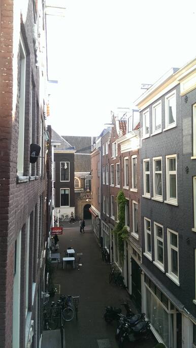 Our quiet street
