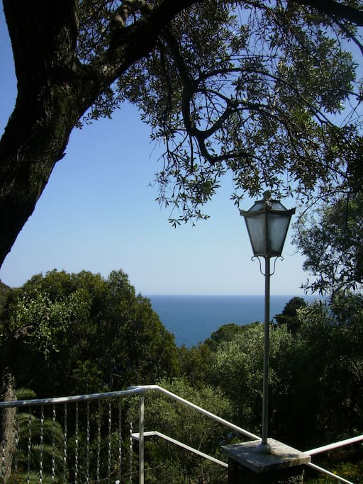 vista golfo dalle terrazze