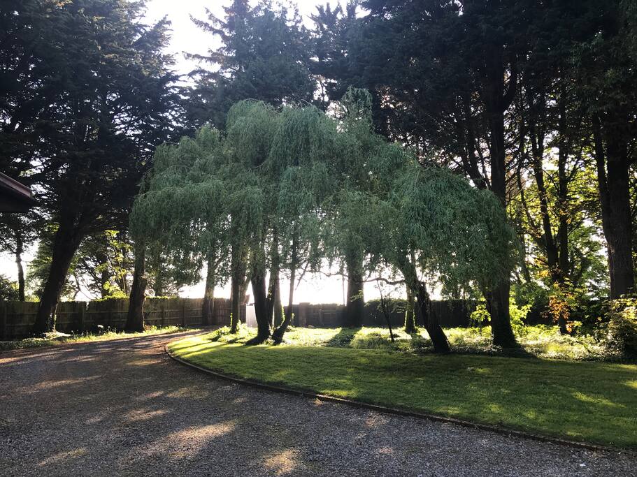 View from the studio overlooking the river Boyne and world class golf course.