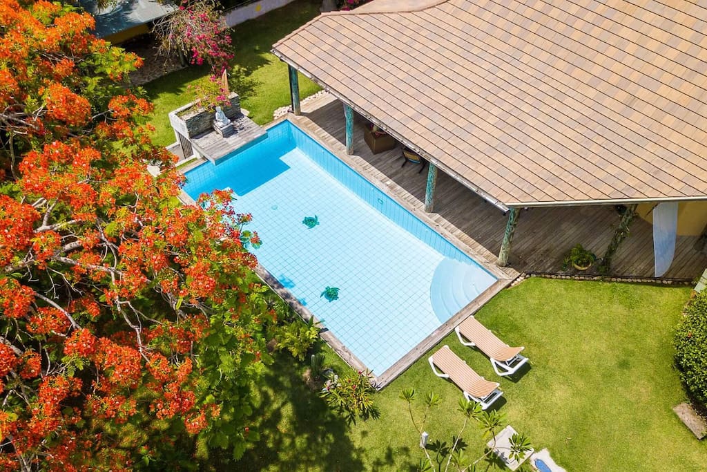 Enjoy the large refreshing tortuga swimming pool.