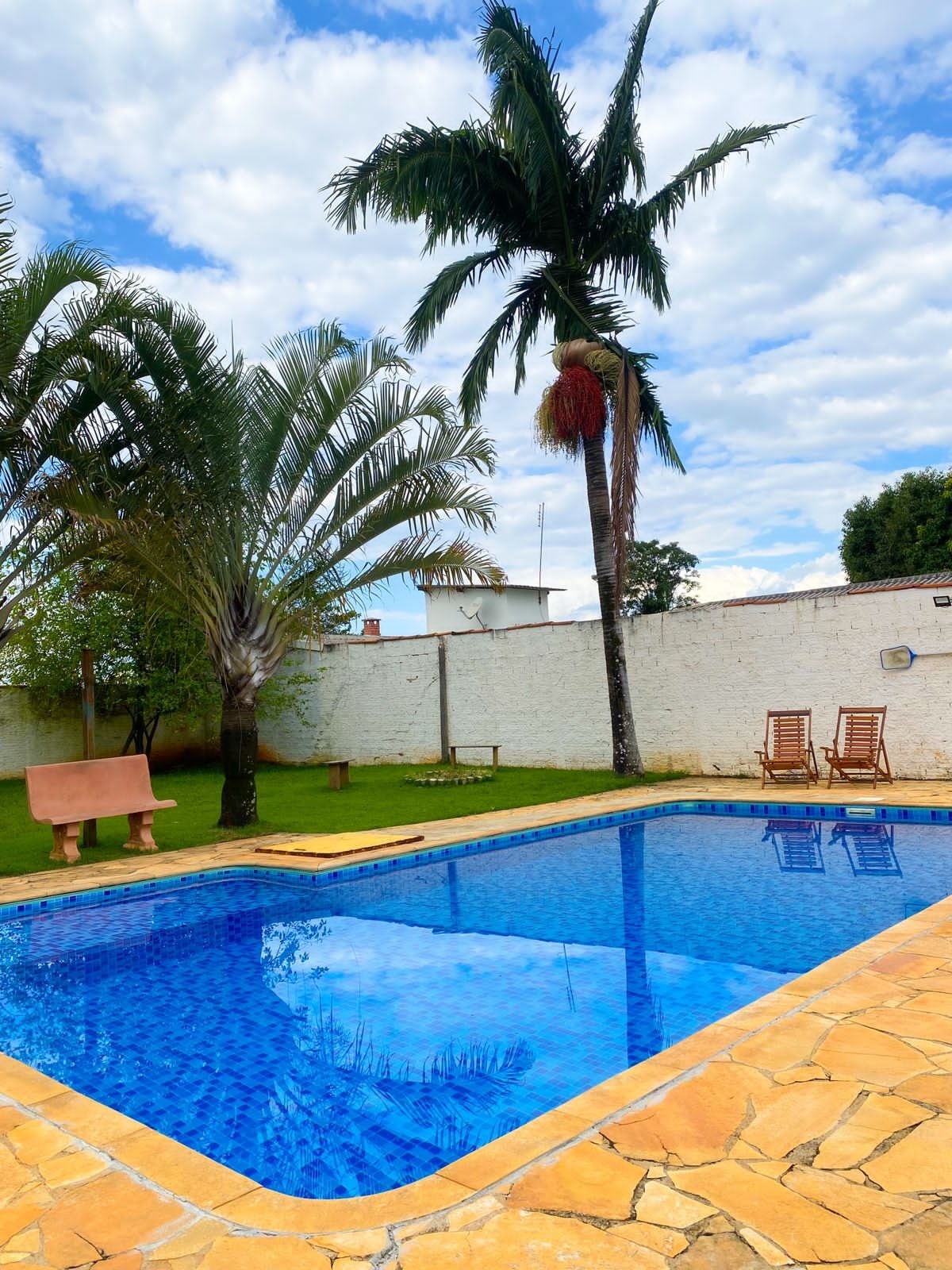 A swimming pool reflects the clear blue sky, surrounded by lush palm trees. A spacious area features a wooden bench and a well-maintained lawn, creating a relaxing outdoor setting for gatherings.