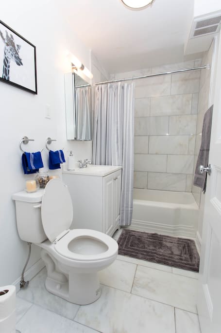 Marble Shower & Sink