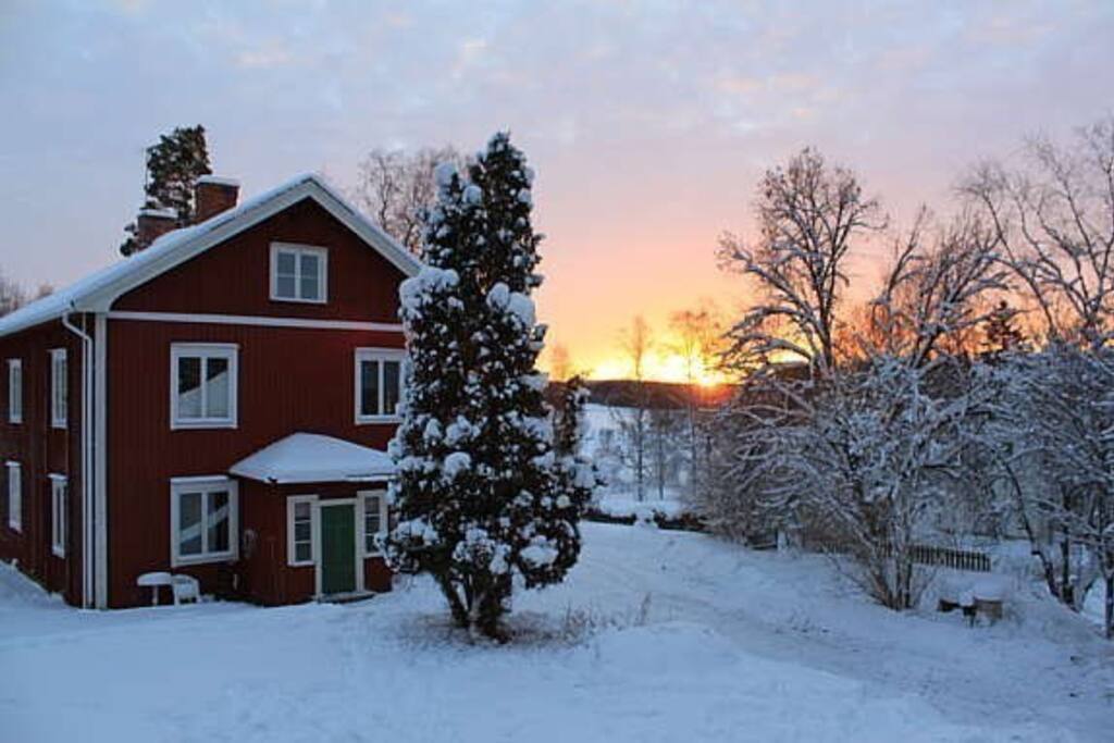 Bjurbacken can be a real winter wonderland