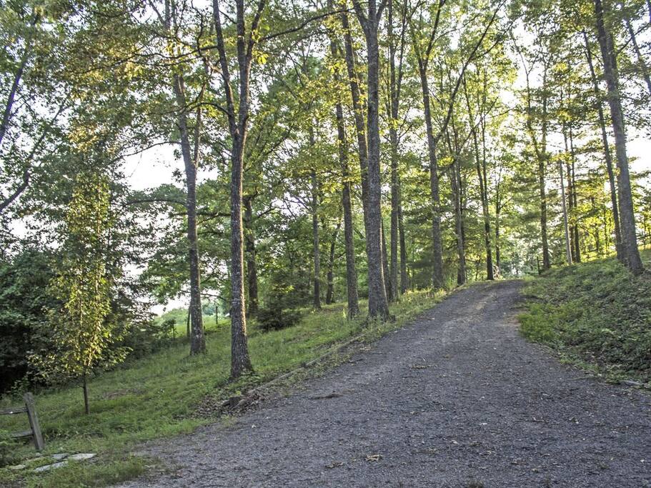 Driveway
