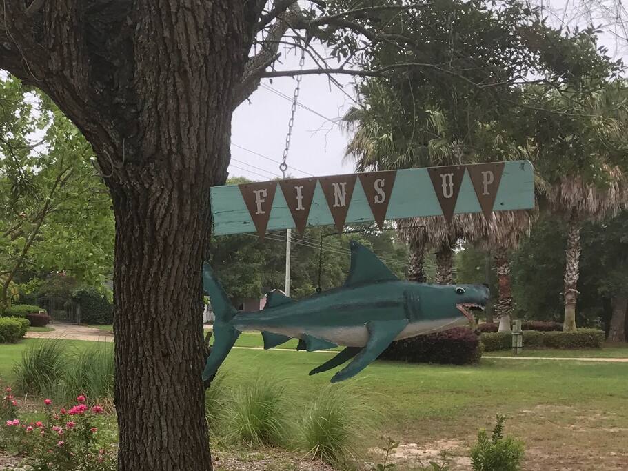 Welcome to Fin's Up Cove!
