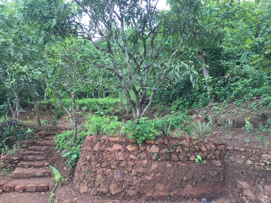 LANDSCAPE GARDEN