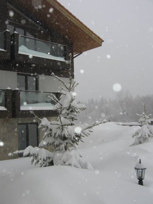 Lots of Snow!!