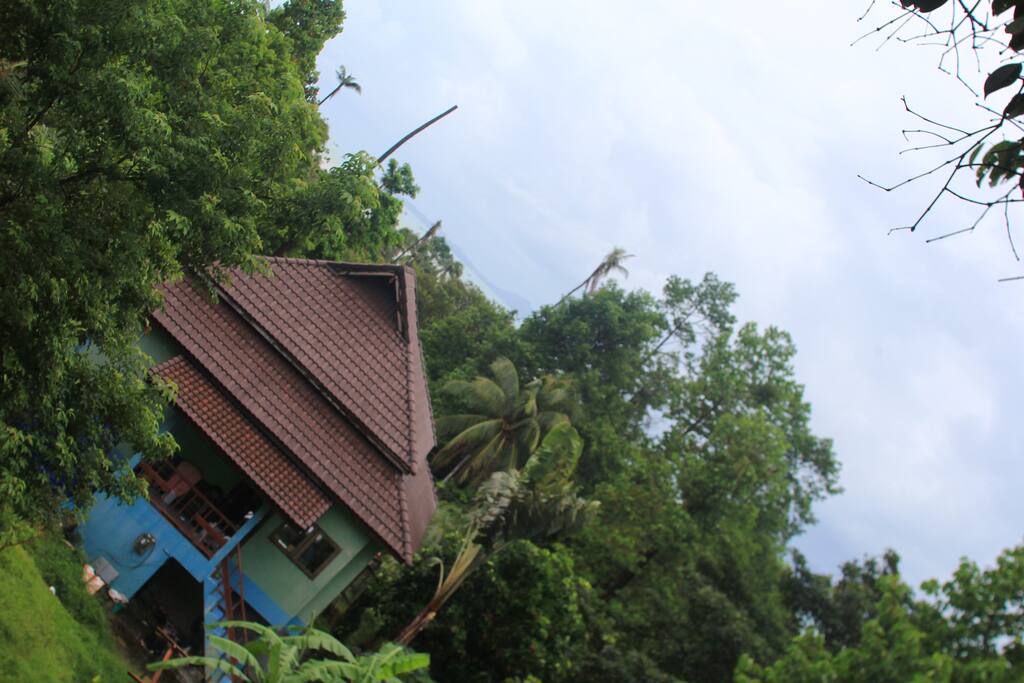 House itself: View from terrace above