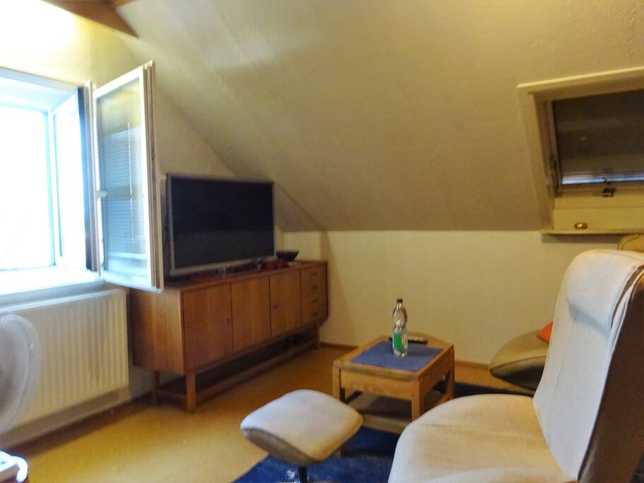 Wohn-Schlafzimmer