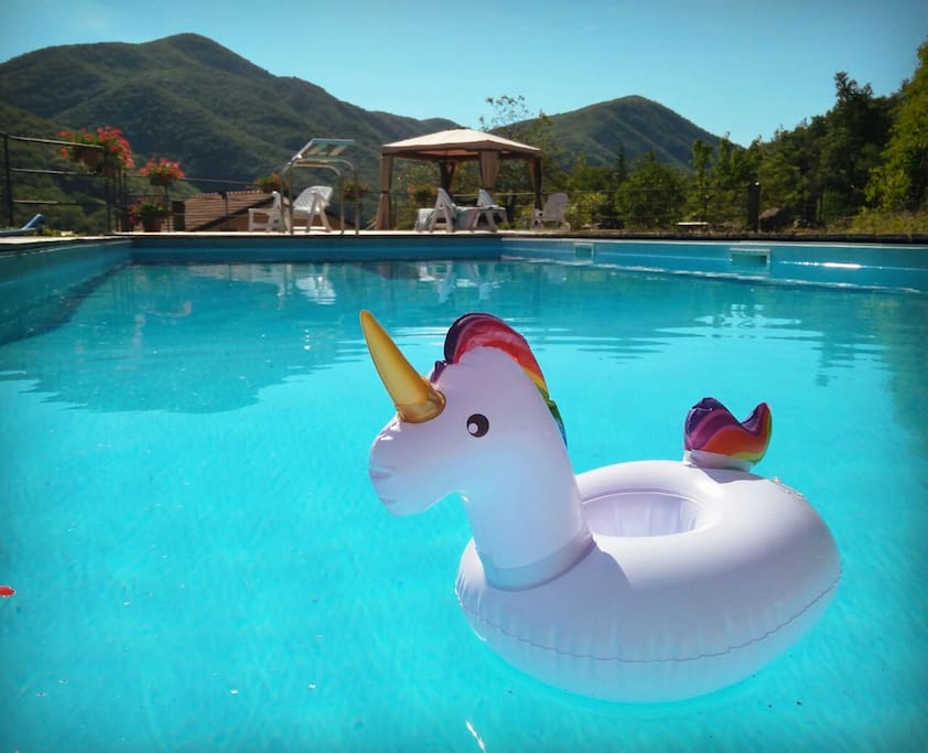 The swimming pool