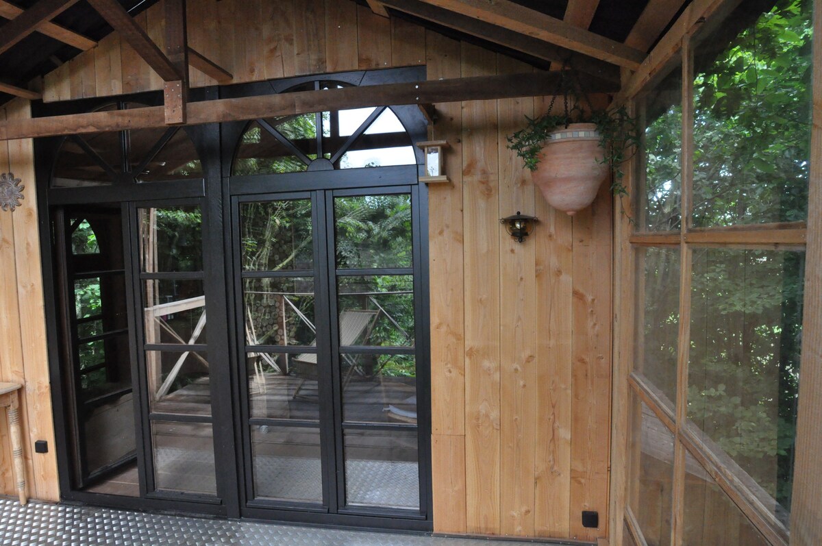 Large glass doors offer views of the surrounding trees, framed by wooden beams and walls. A potted plant adds a touch of greenery. The interior space features a textured floor and a mix of light and shade, creating a harmonious connection with nature.