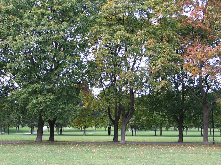 5 minutes to the Vigeleand park (summer)