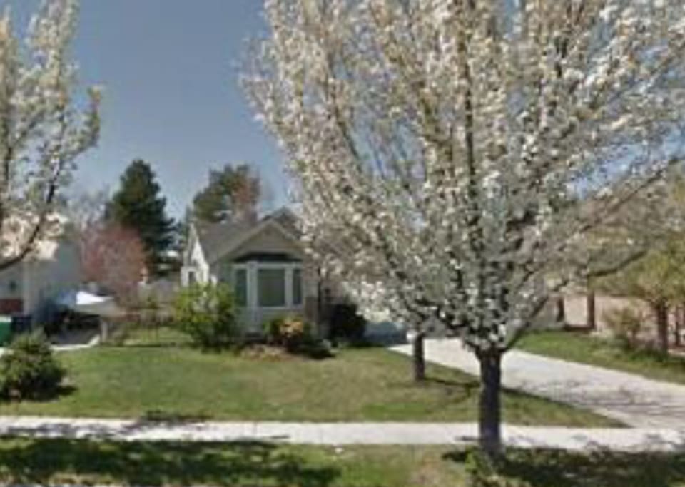 Front of house (in the spring)
