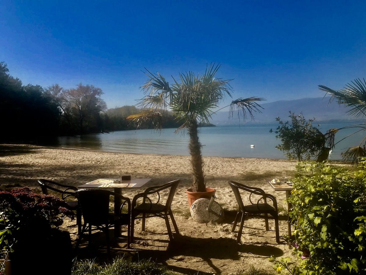 A serene beachfront scene is presented, featuring a sandy shore lined with soft vegetation. Two tables with chairs are set in the foreground, overlooking calm waters and a distant horizon. The gentle presence of a palm tree adds a tropical touch to the scenery.