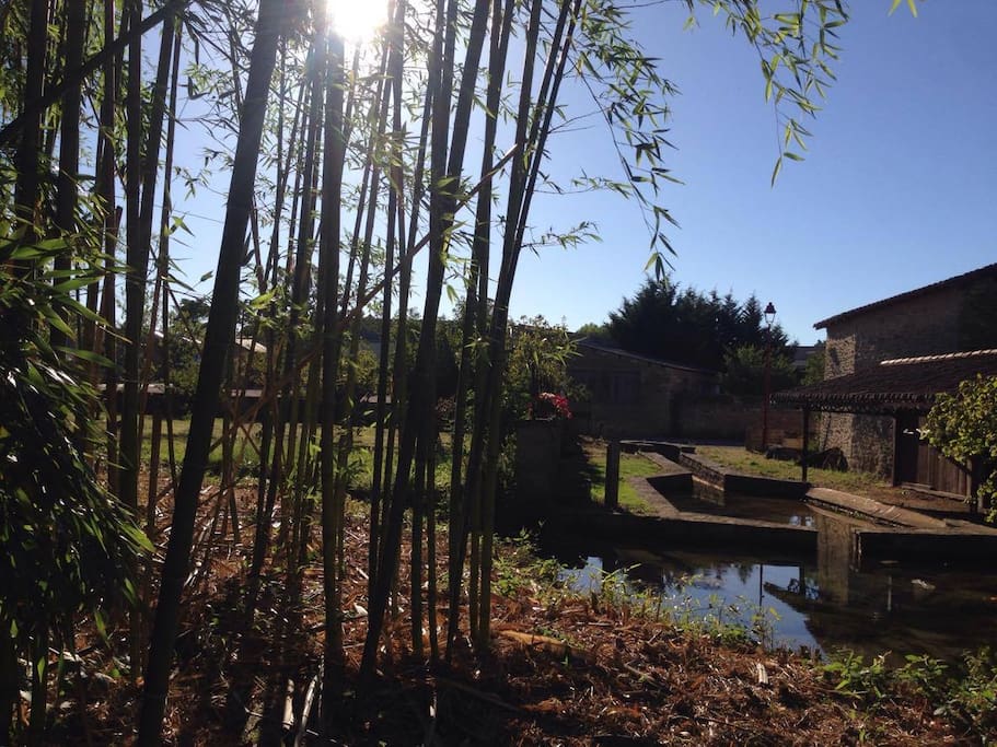 source de la Dive au fond du jardin, lavoir et bambouseraie