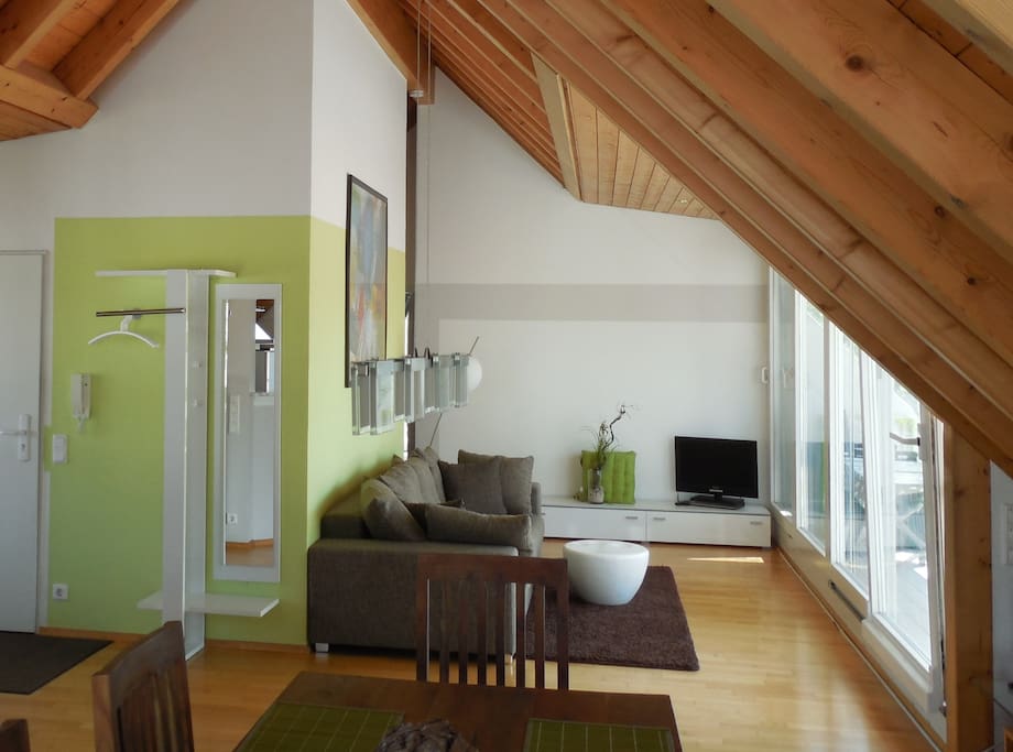 Offener Wohnraum mit Terrassenfront II