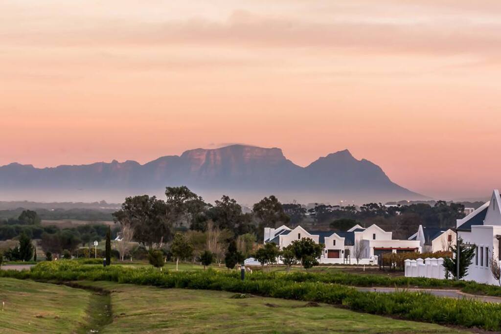 Croydon vineyard estate