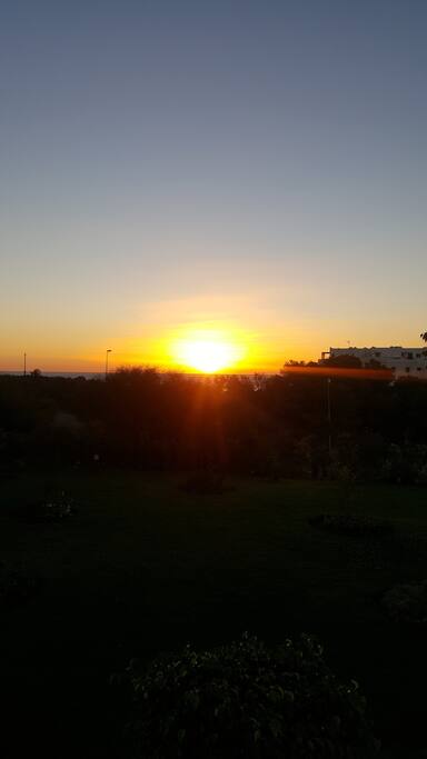 Vue de la terrasse