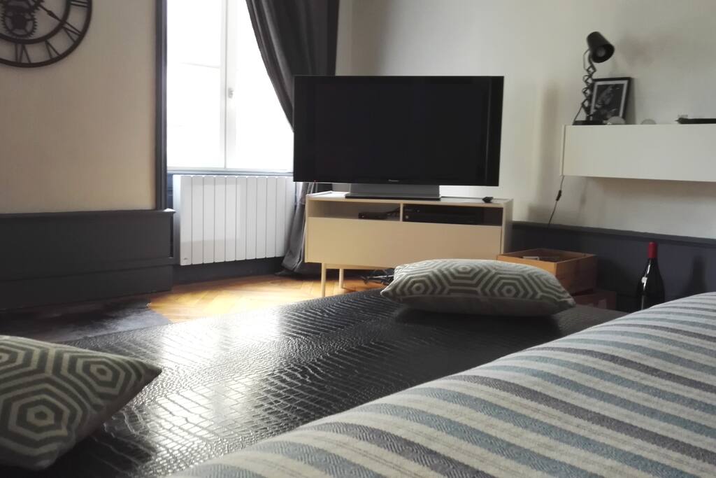Grand écran plasma / large plasma screen