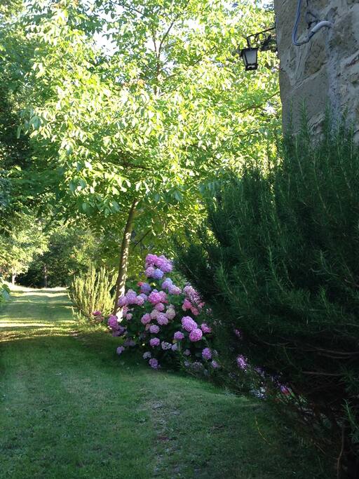 Ingresso del giardino