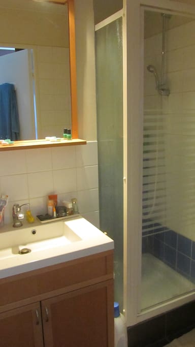 La salle de bain avec une grande vasque et un grand miroir :)