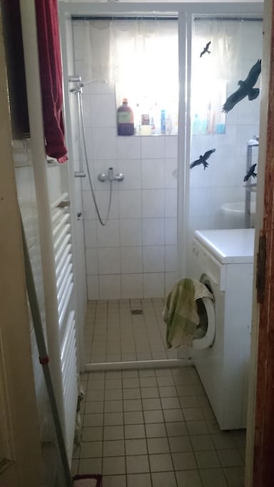 Bathroom with washing machine