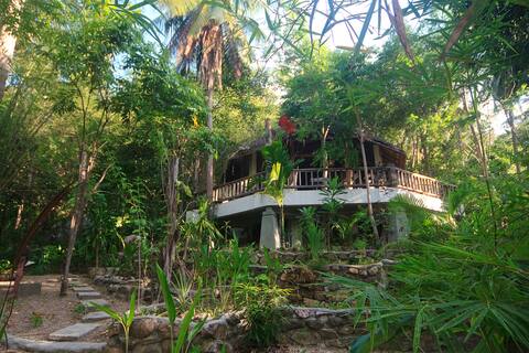 The Tropical house/ jungle & sea views