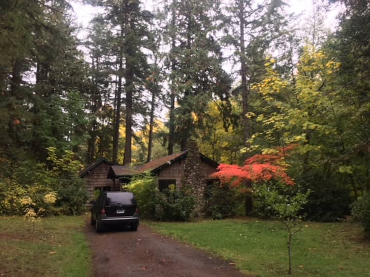 Classy Comfortable Close in Creekside Cabin