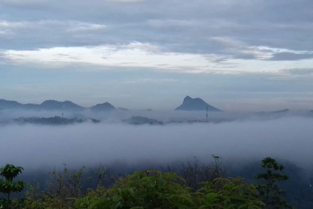 Misty mountain view in the morning