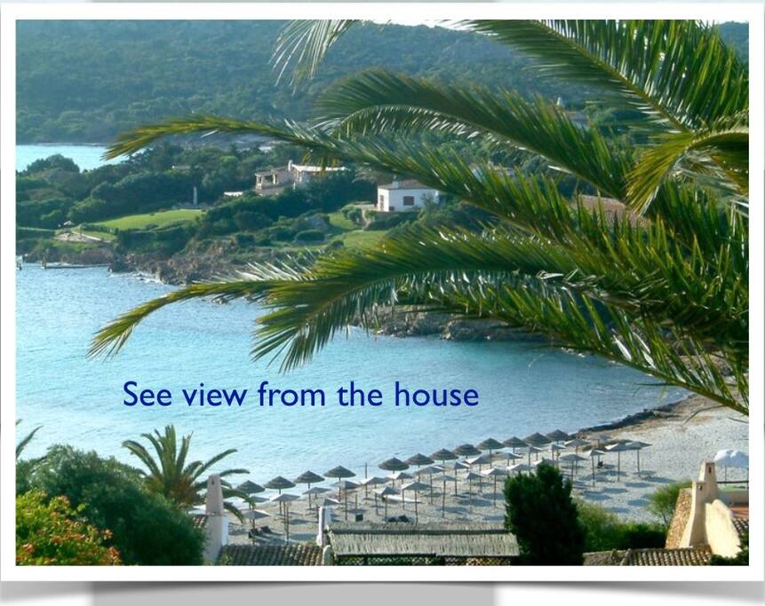 View from the house