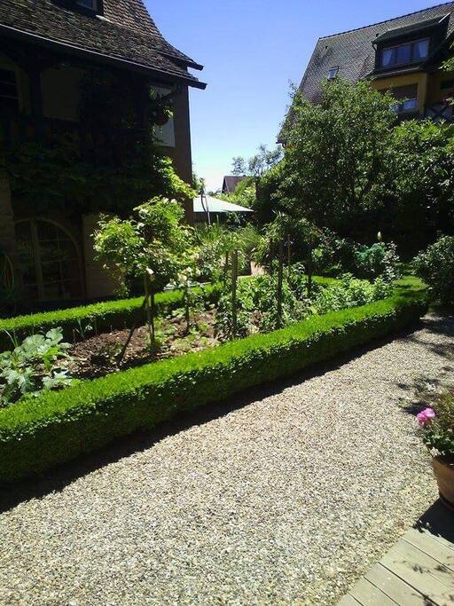 Jardin à la française