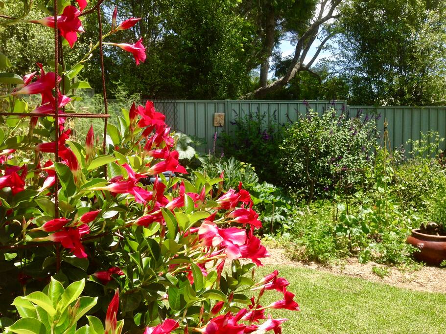 Surrounded by colourful gardens