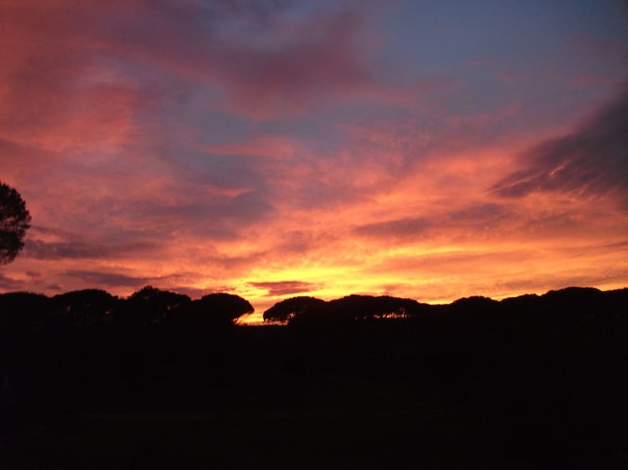 couché de soleil sur la propriété