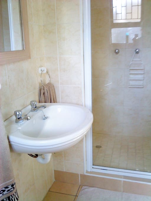 Lovely big shower in the bathroom; no tub