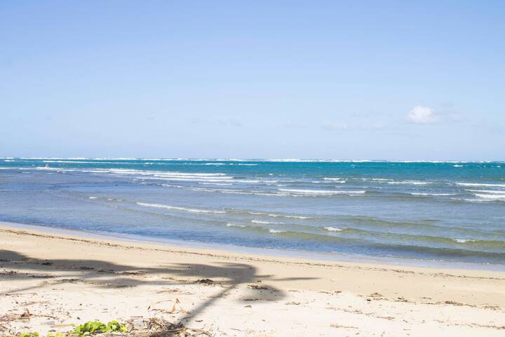 Brand New, Beach Front, Villa Aloha 30-day min gallery image 2