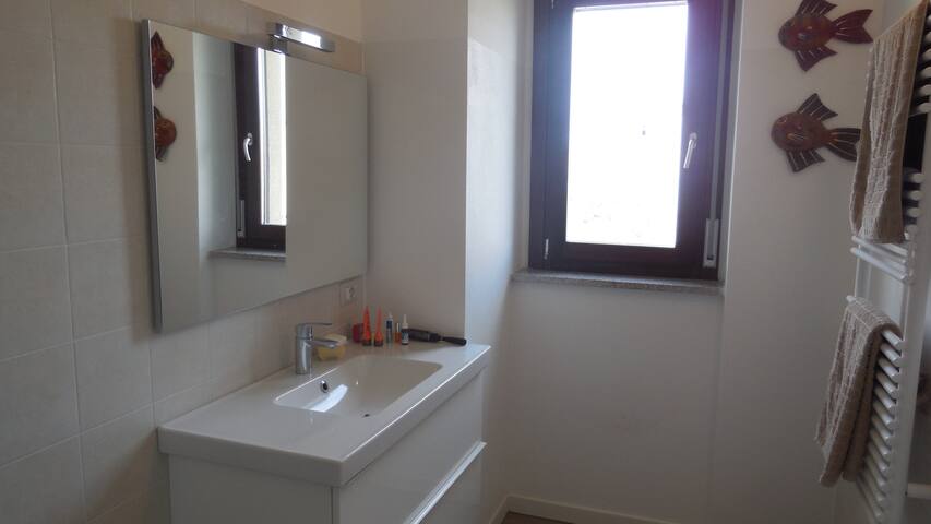 Ampio appartamento tra verde e città gallery image 4