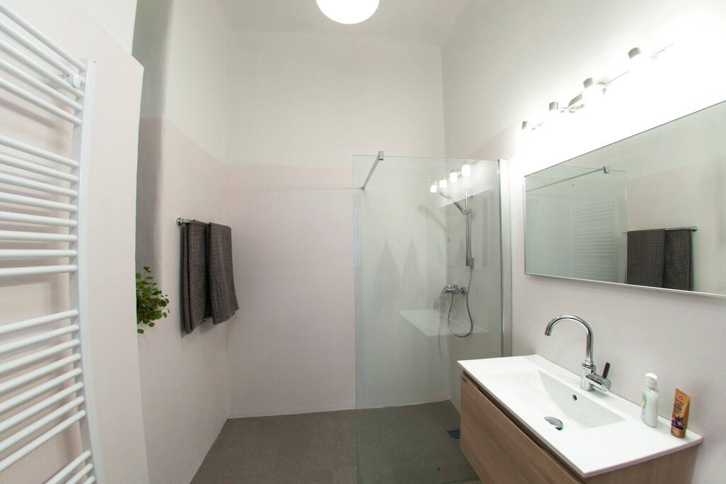 Shower room with complimentary shampoo, soap, large towels, hair dryer.