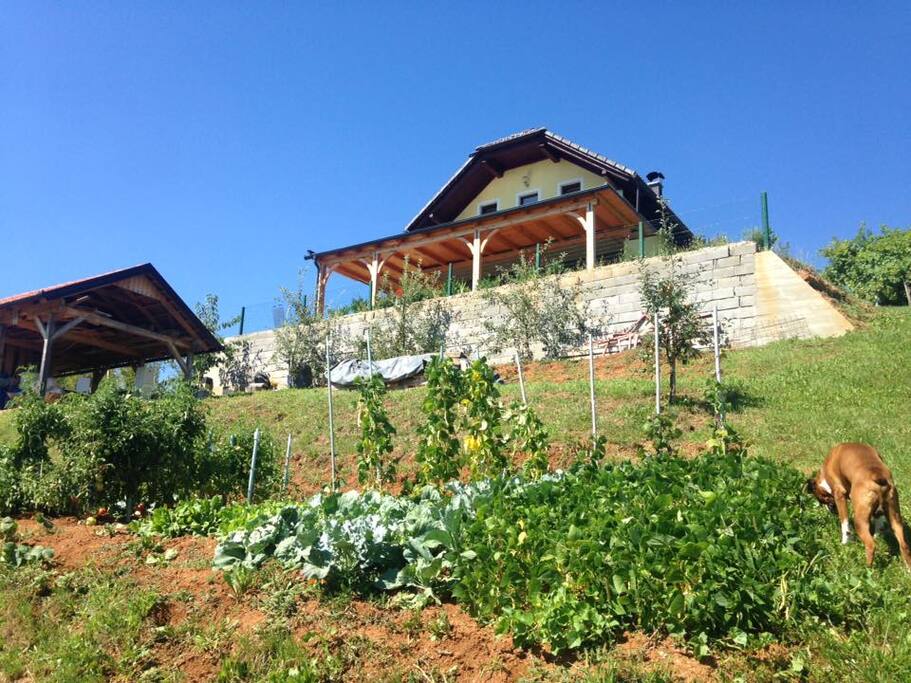 house