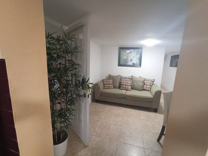 Top 10 Lofts For Rent In Ybor City, Florida Trip101