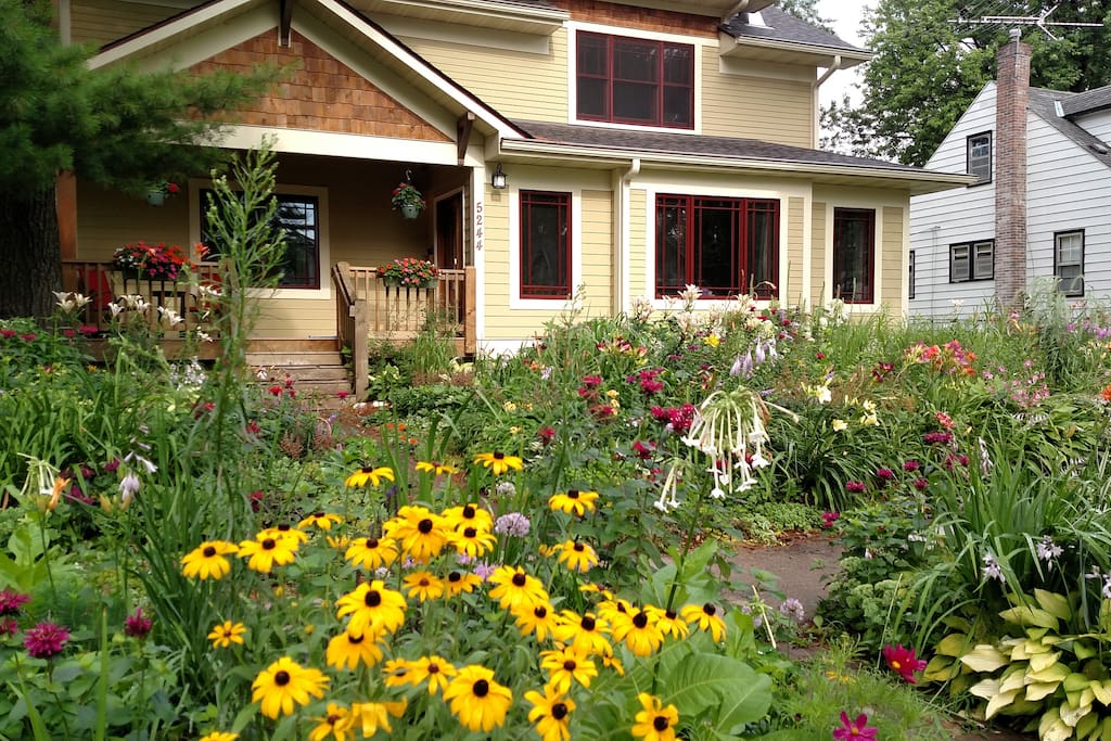 Esam's garden is spectacular in the summer.