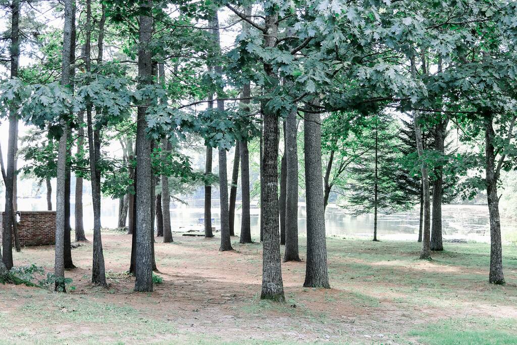 The spacious backyard.