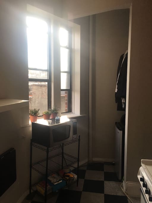 Lots of beautiful natural light! You also have your own fridge.
