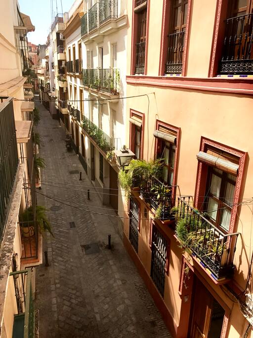 Street view from balcony 1