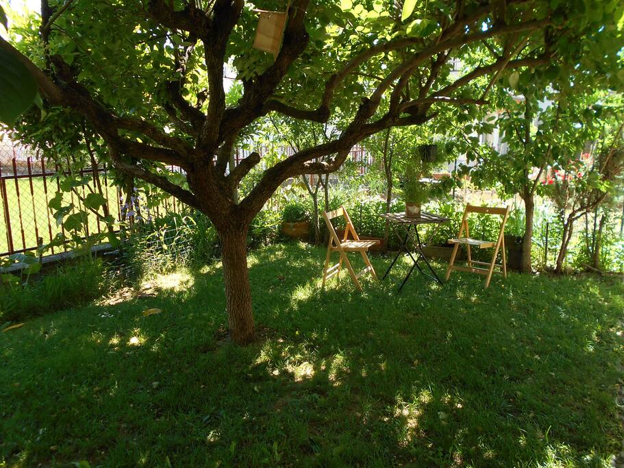giardino- angolo relax