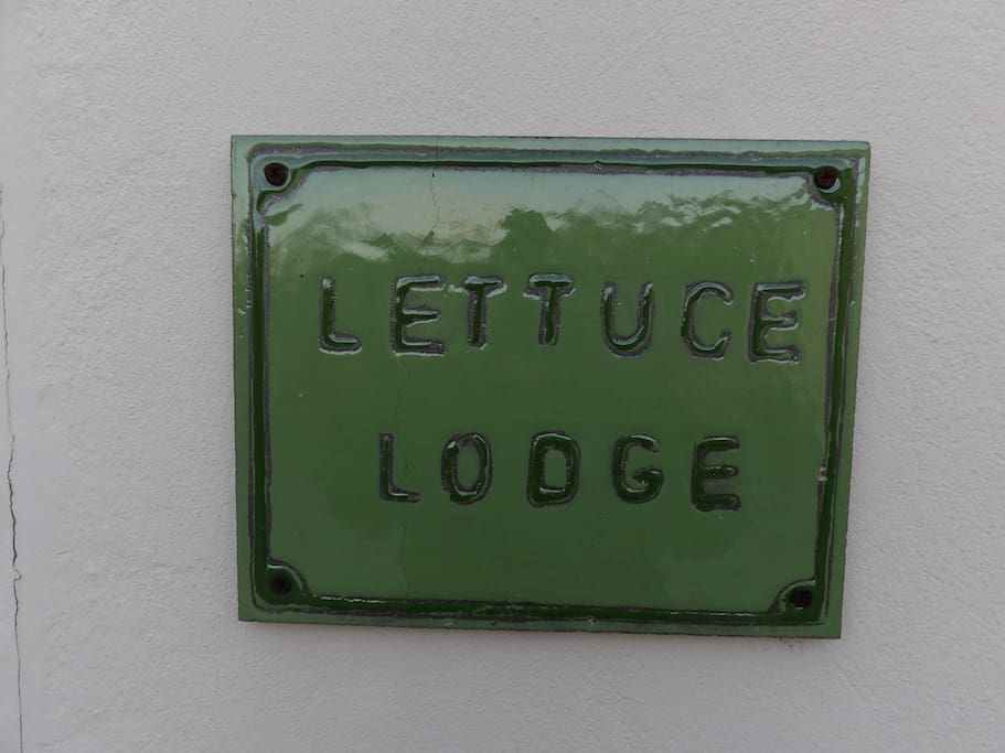 Welcome to Lettuce Lodge